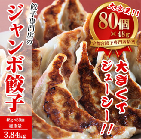 ジャンボ餃子80個入
