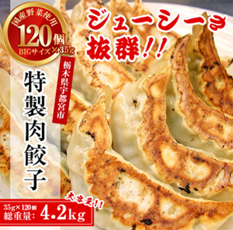 特製肉餃子120個入