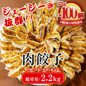 肉餃子100個入