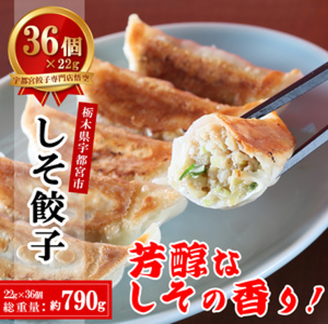 しそ餃子36個入
